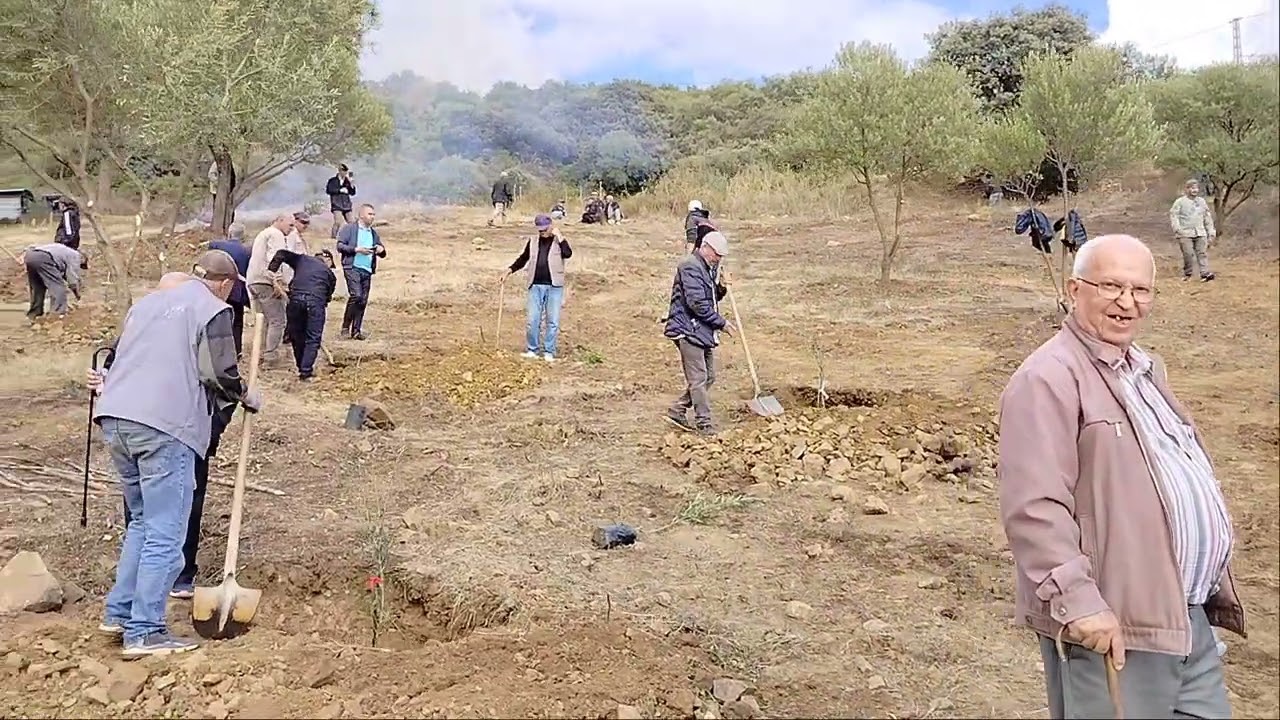 Plantation des arbres oliviers en hommage aux 114 martyrs tombés au champ d’honneur
