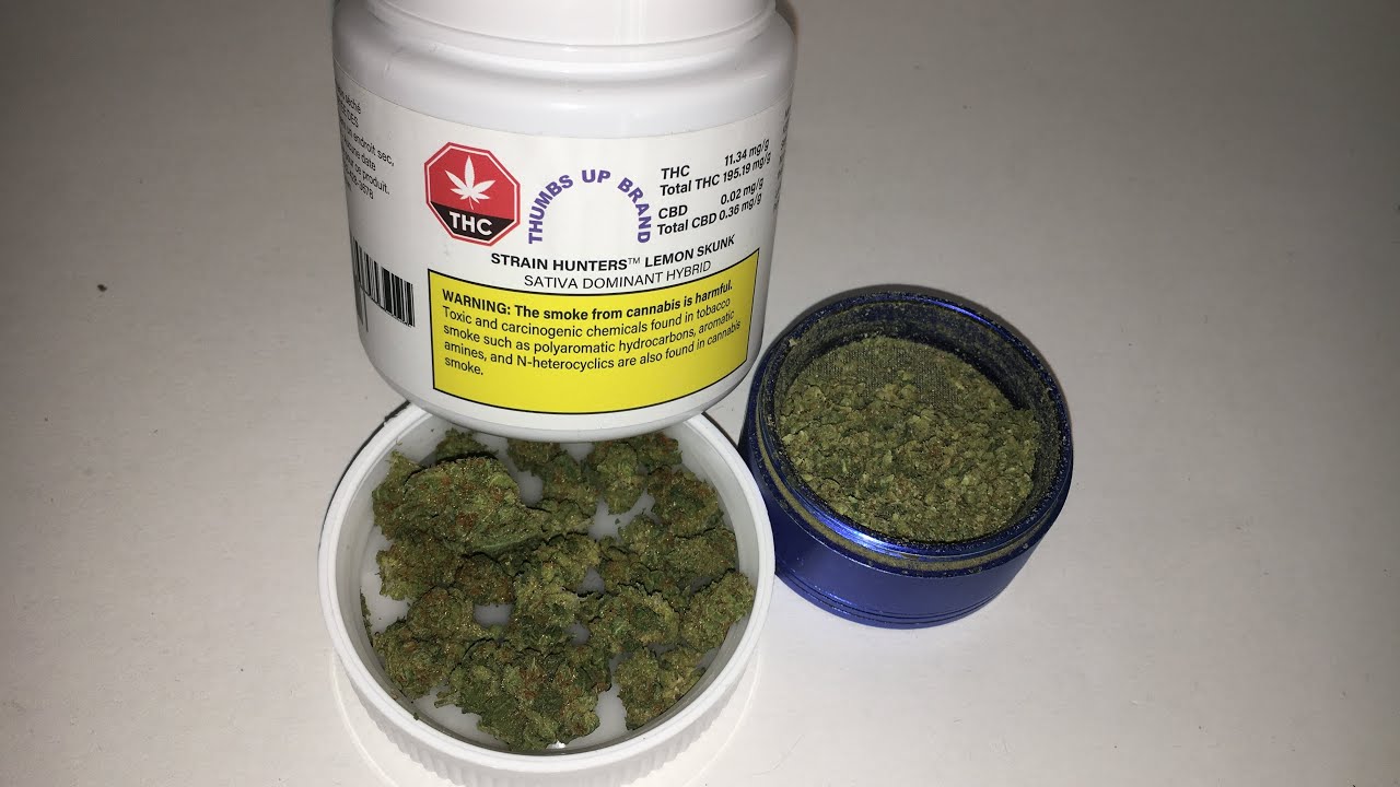 Weed Unboxing Lemon Skunk By Strain Hunters (thumbs up brand)