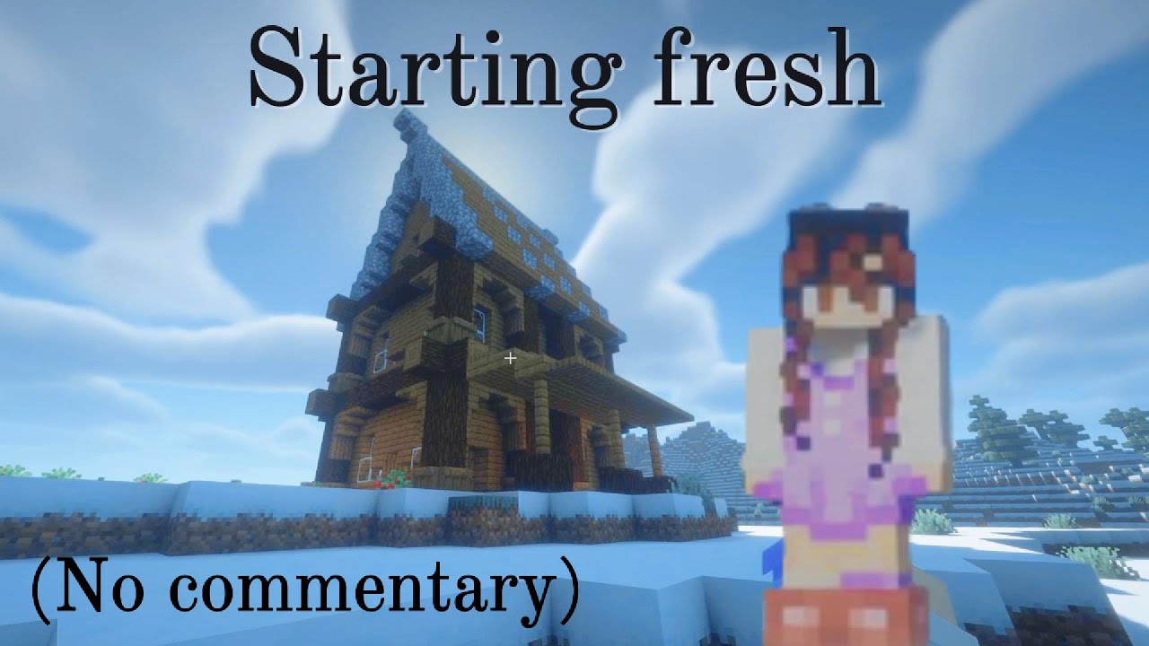 New World - Minecraft (no commentary) ep.1