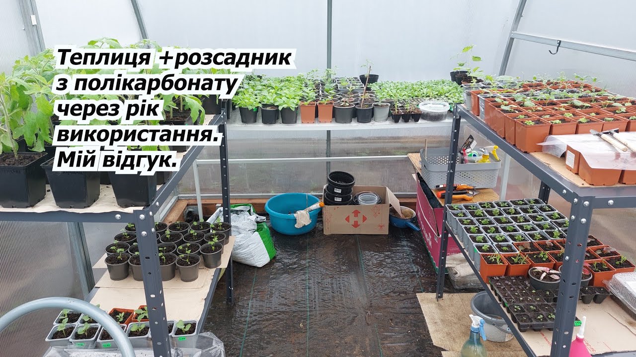 Все за нашу теплицю з полікарбонату через рік від початку використання!