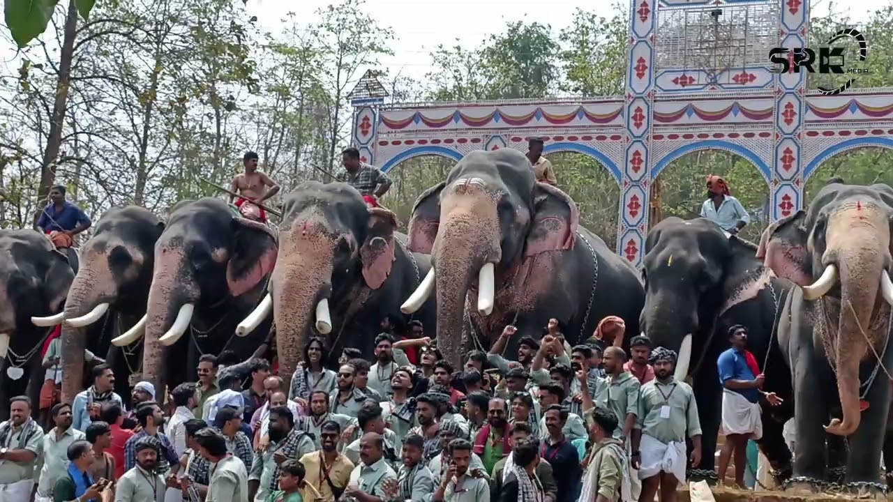 കേശവനും കൂട്ടരും ഇന്ന് ഉത്രാളിക്കാവിൽ എന്തുട്ടാ കുമാരനെല്ലൂരിന്റെ സെറ്റപ്പ് മുട്ടണ്ട മുട്ടണ്ട 🤩❤️🔥🔥
