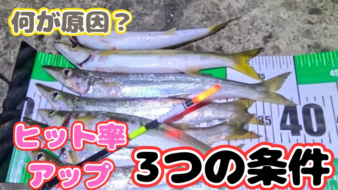 【カマス釣り】キビナゴで狙うと良型があたってくるけど掛からない❗️💦ヒット率を上げるための工夫をいろいろと試してみた‼️