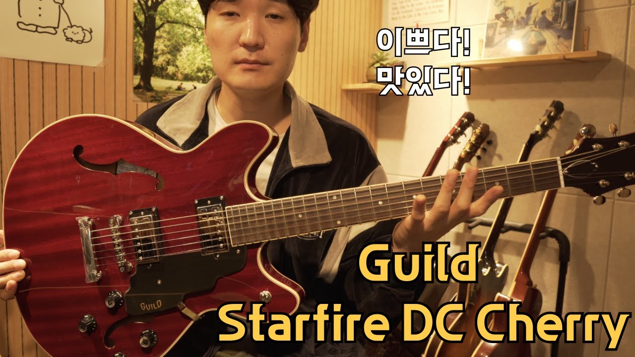 존메이어 형님도 택했던 길드 Starfire DC Cherry 리뷰 | Guild Starfire DC Cherry Review