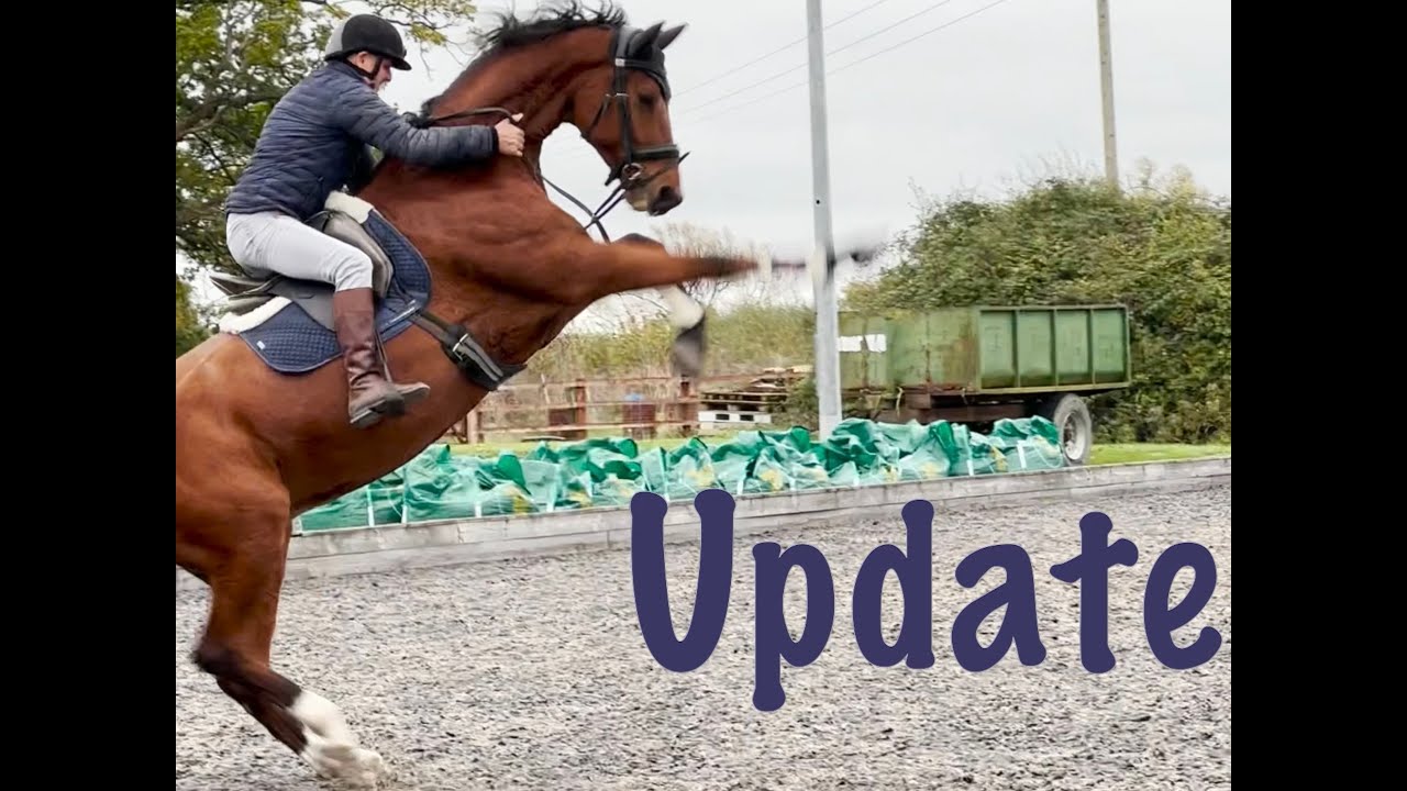 Update Rearing to forward & straightness with Michael Peace. Now winning combination in dressage.