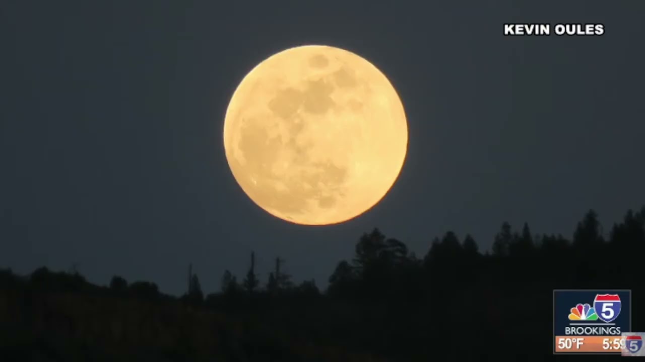 Snaps on Sunrise 3.03.2026