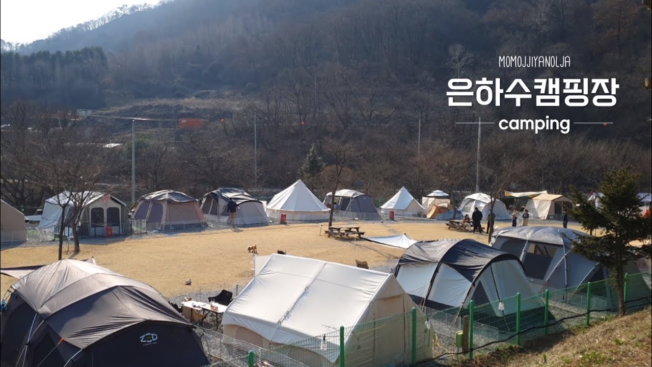 [캠핑] 댕댕이들이 마음껏 뛰어놀 수 있는 / 은하수캠핑장(feat.평양냉면)