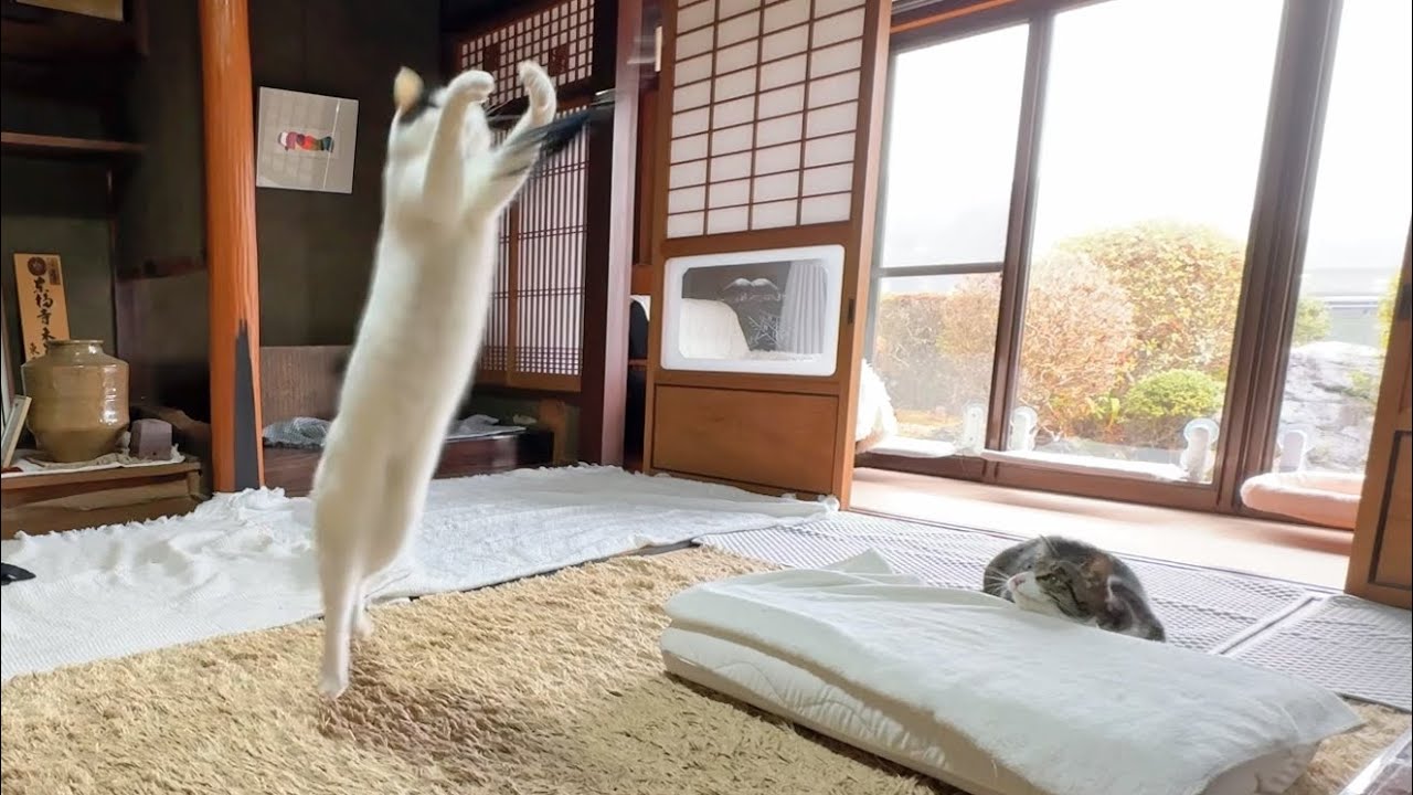 寒さに打ち勝て！おもちゃ遊び【26年1月20日その6】