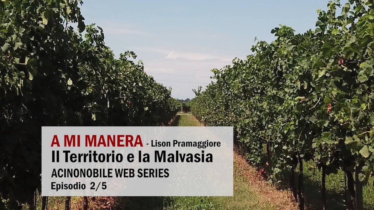 A Mi Manera: Malvasia e territorio