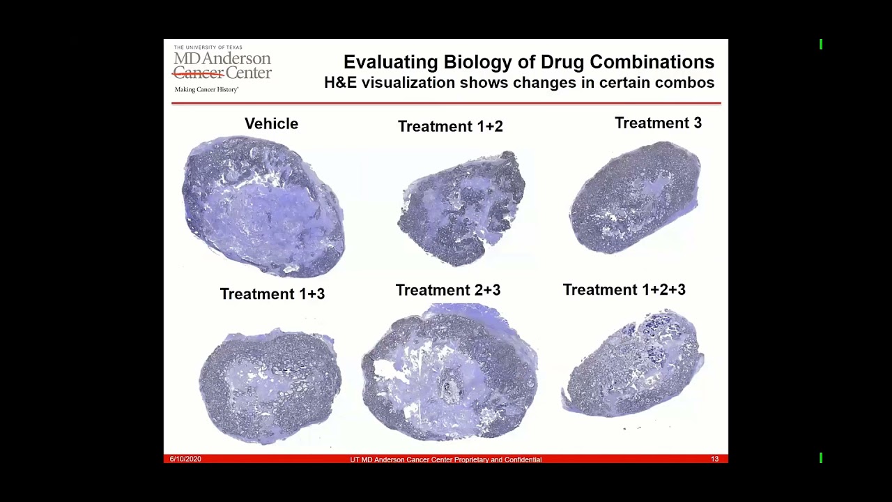 Deep Learning and High Dimensional Analysis in Characterizing Drug Response