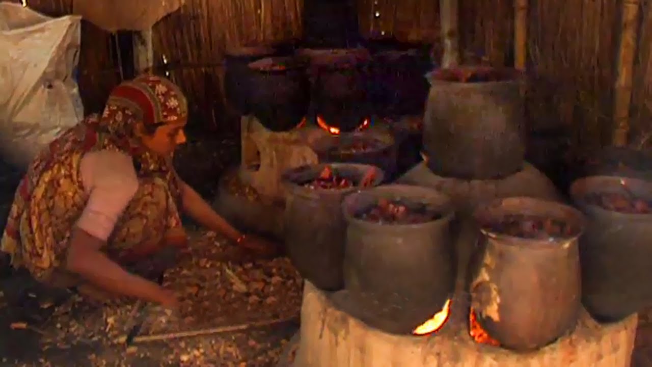 কিভাবে গাছ থেকে পান খাওয়ার খয়ের তৈরী হয়