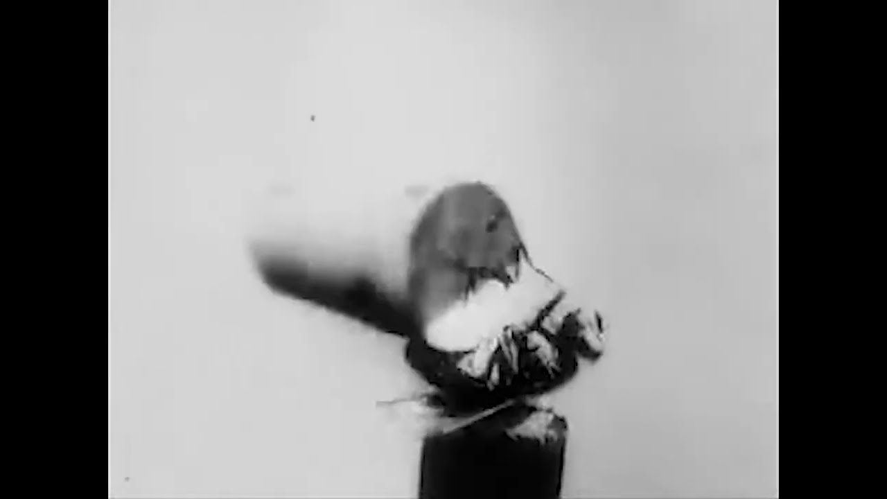 The Acrobatic Fly (1910)