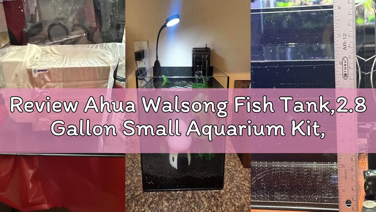 Review Ahua Walsong Fish Tank,2.8 Gallon Small Aquarium Kit,Glass Small Fish Tank,Betta Fish Tank wi