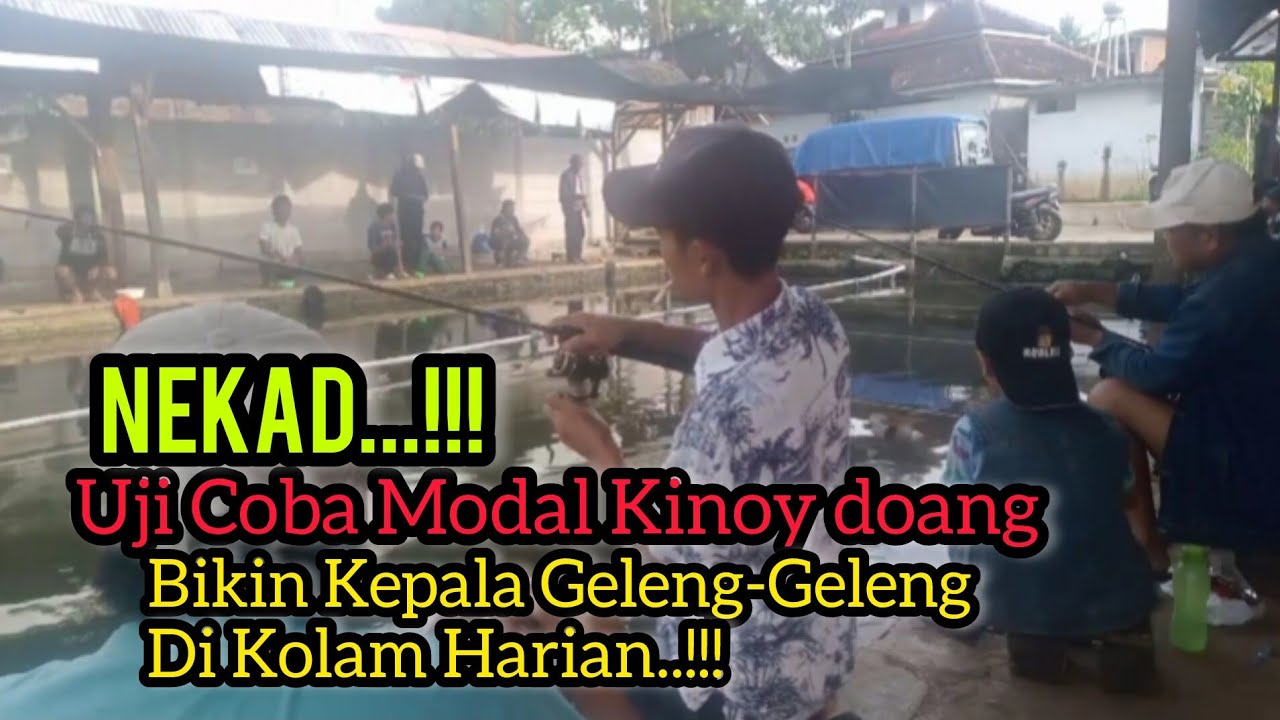 NEKAD MANCING HARIAN‼️MODAL KINOY & ESSEN‼️BIKIN KEPALA GELENG-GELENG COYYY UJI NYALI..!!!