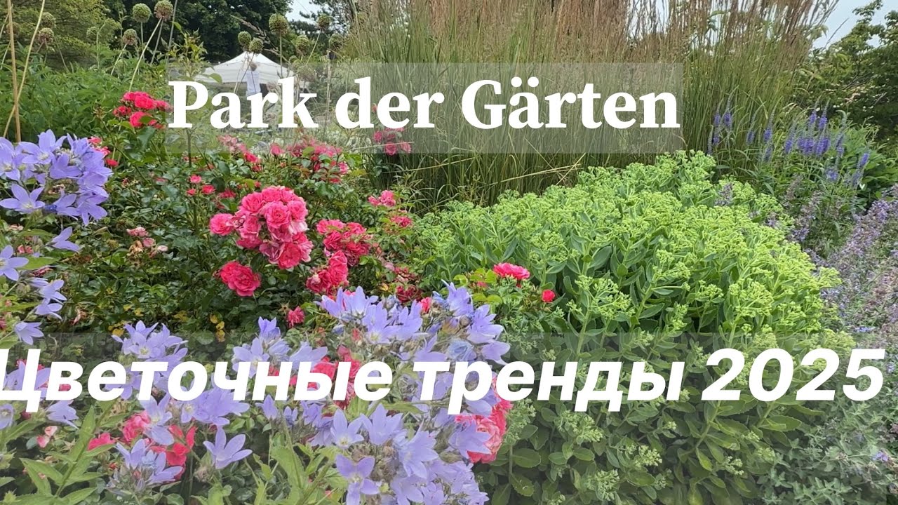 Новинки и тренды цветников: лето в Парке Садов 🌿 Park der Gärten 🌿
