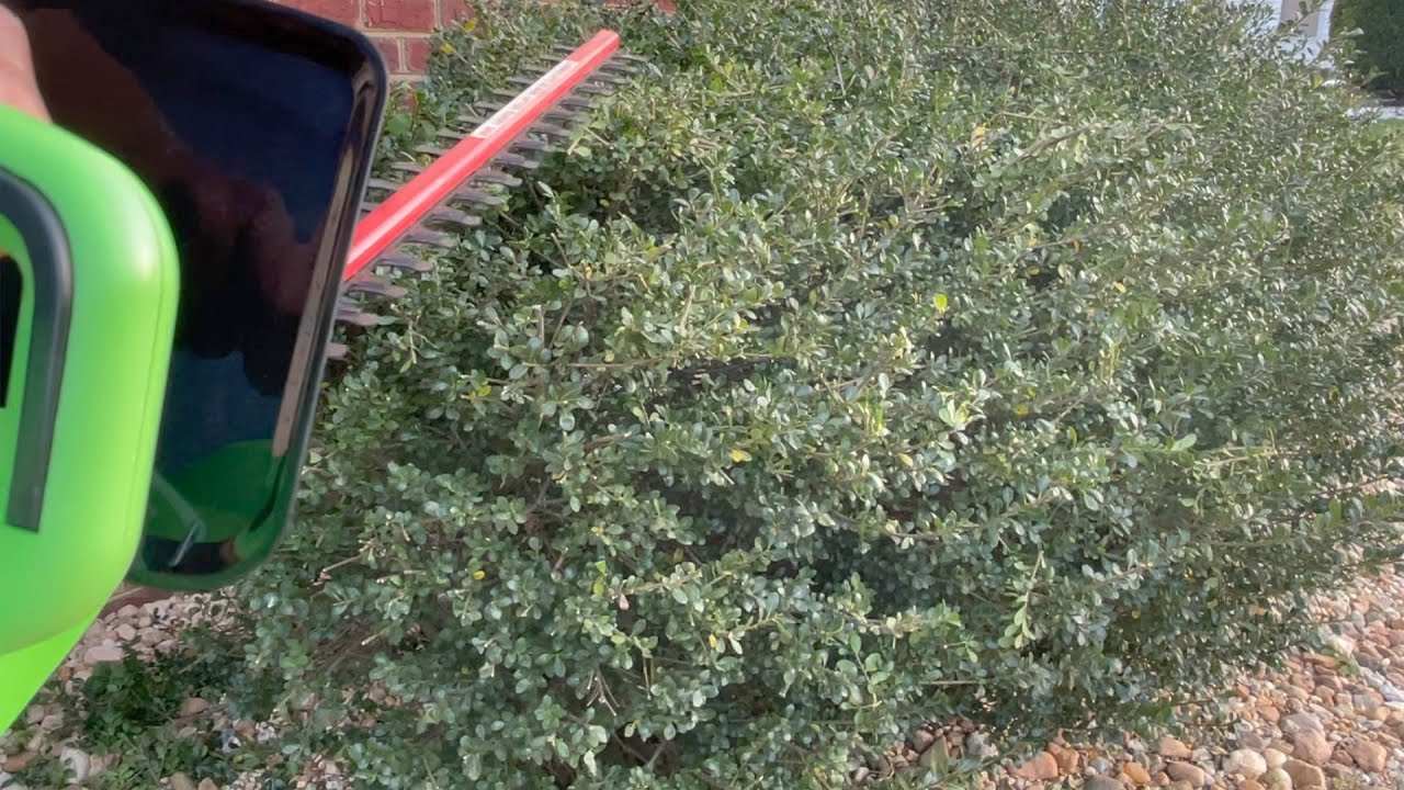 $37 Portland 22 inch Electric Hedge Trimmer Review in under 5 minutes.........