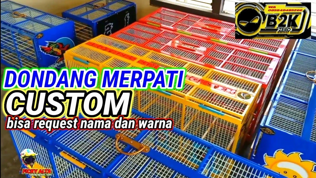 Dondang Merpati asal Purbolinggo Lampung Timur Sudah banyak kirim sampai pulau jawa