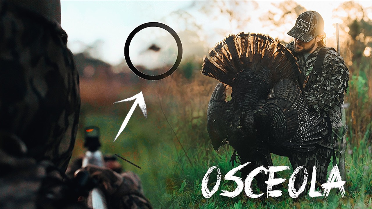 GOBBLER FLYS RIGHT BY MY BARREL | Two INCREDIBLE Florida Osceola Turkey Hunts 