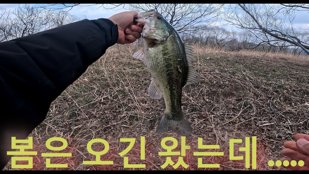 봄은 온 것 같은데.. 덩어리는 어디에 있을까요?!?!?!?