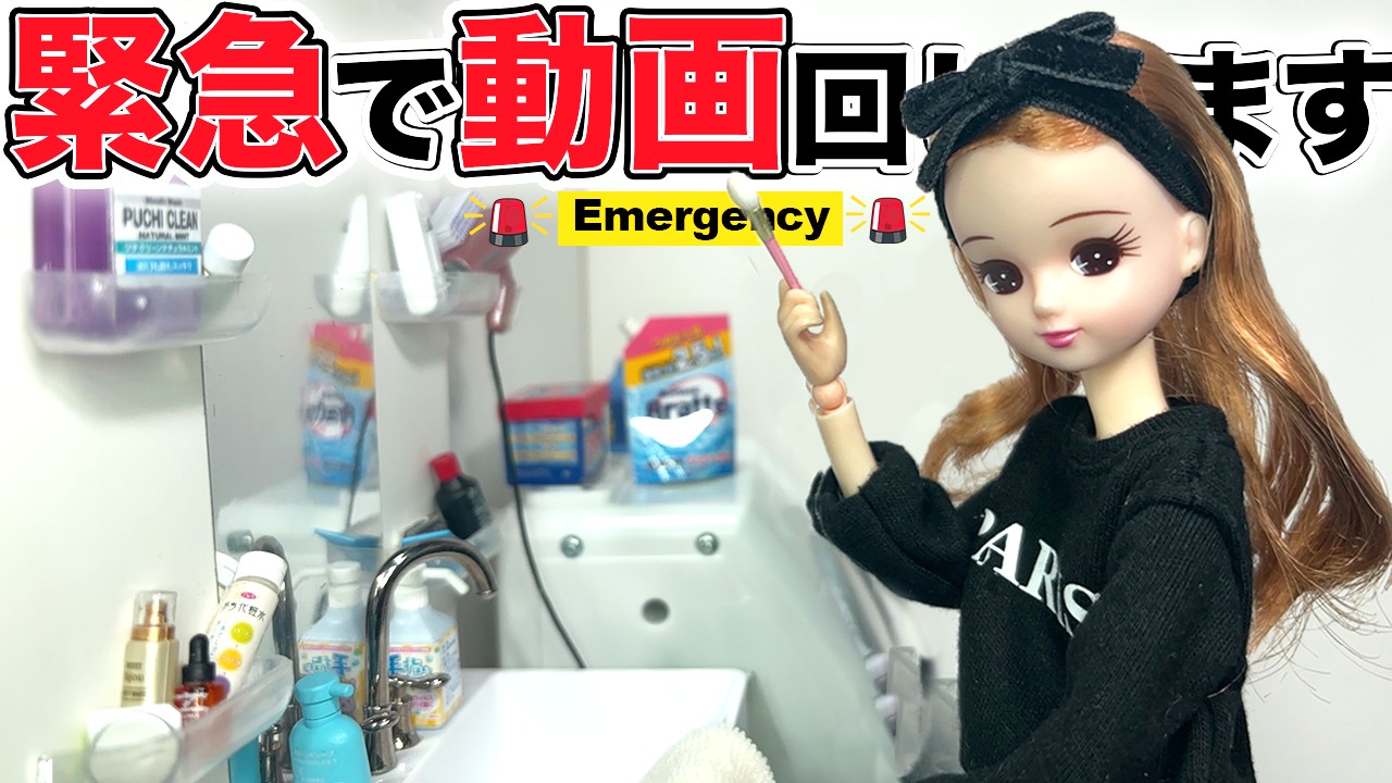 【緊急動画】現実を生きるリカちゃん、好きだった人から急に連絡が来る