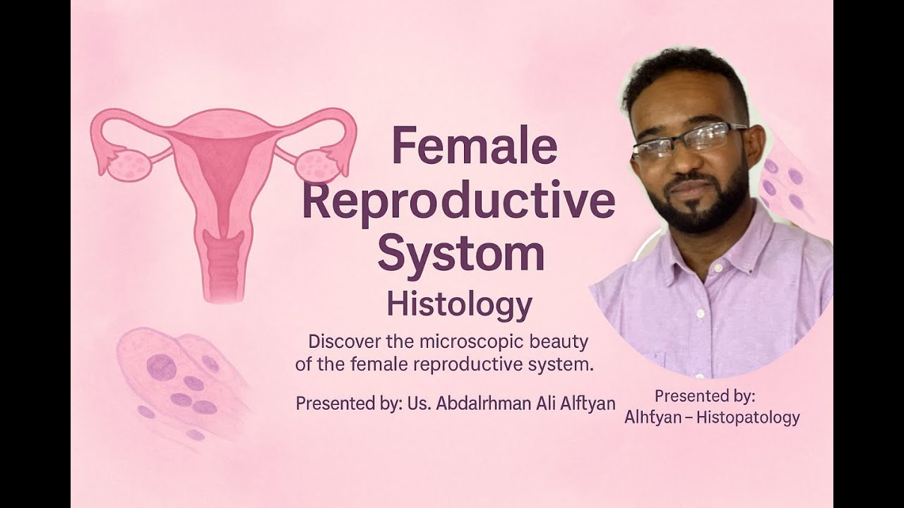 Female Reproductive system(3)شرح
