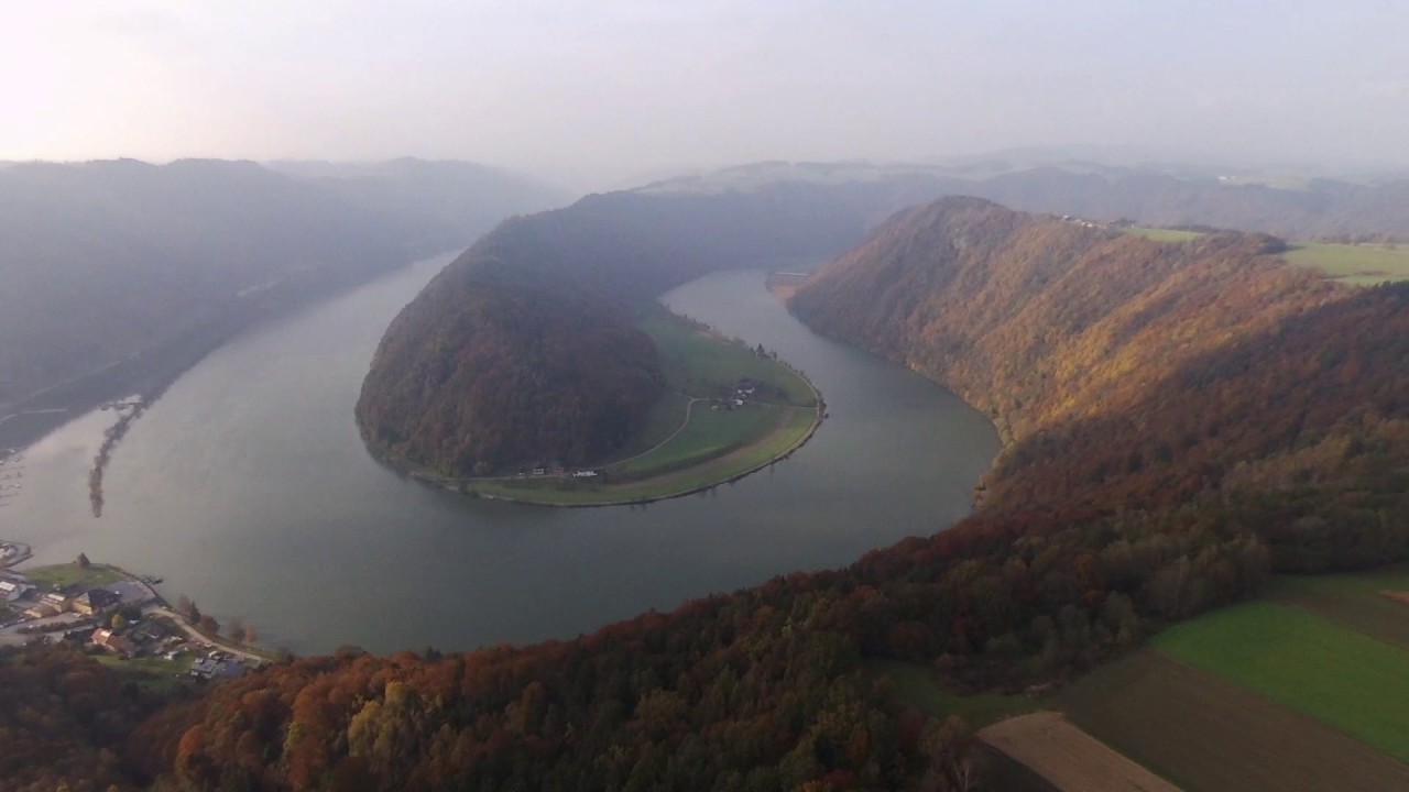 Donauschlinge Schl&ouml;gen