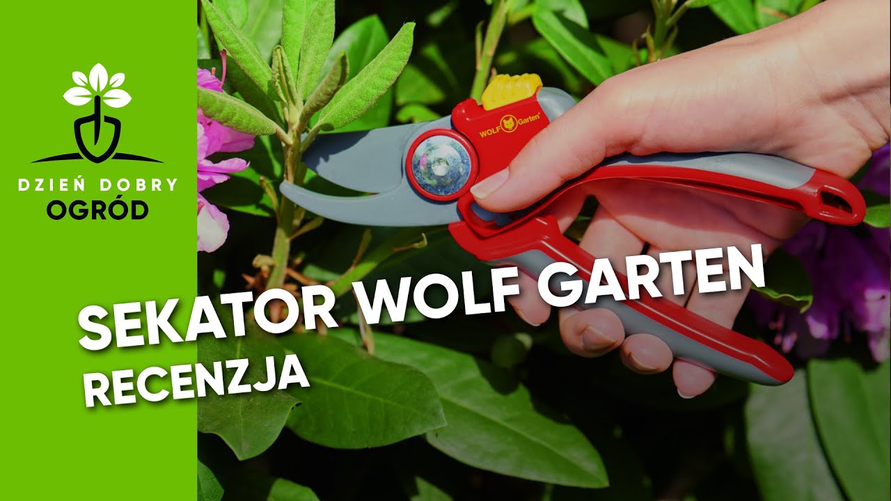 Recenzja: Sekator Wolf Garten nożycowy dwuostrzowy RR 4000