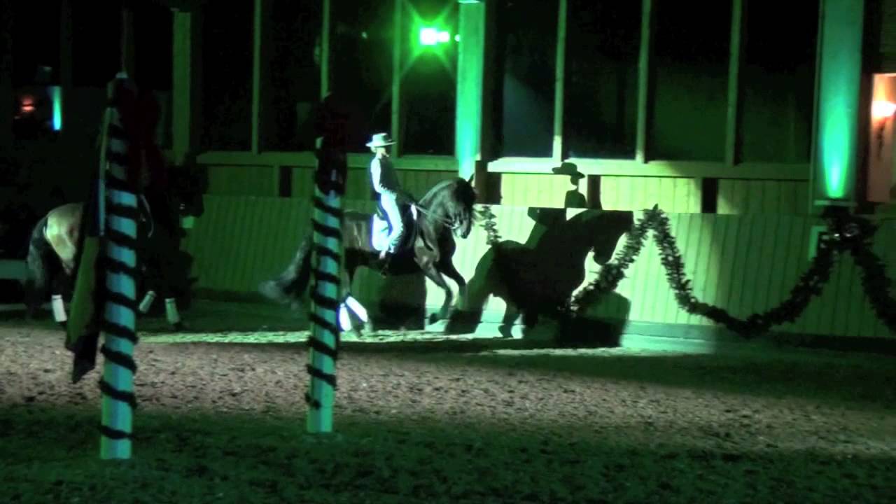 Galashow 2012 - Quadrille Hengste