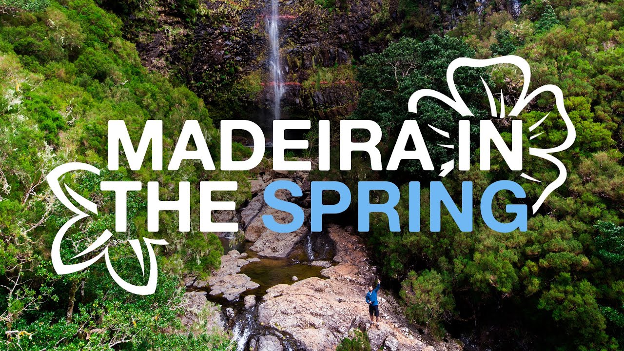 What's the weather like in Madeira?  (In the spring)