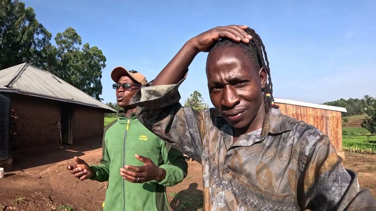 Chased And Homeless !!! Beyond Words 