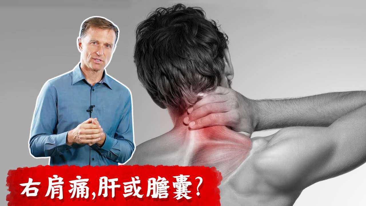 右肩,脖子痛是肝？膽囊？ 膽汁消化脂肪,柏格醫生 Dr berg