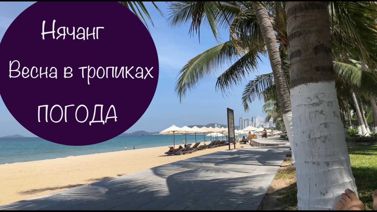Нячанг. ПОГОДА март, апрель, май. #личныйопыт #вьетнам
