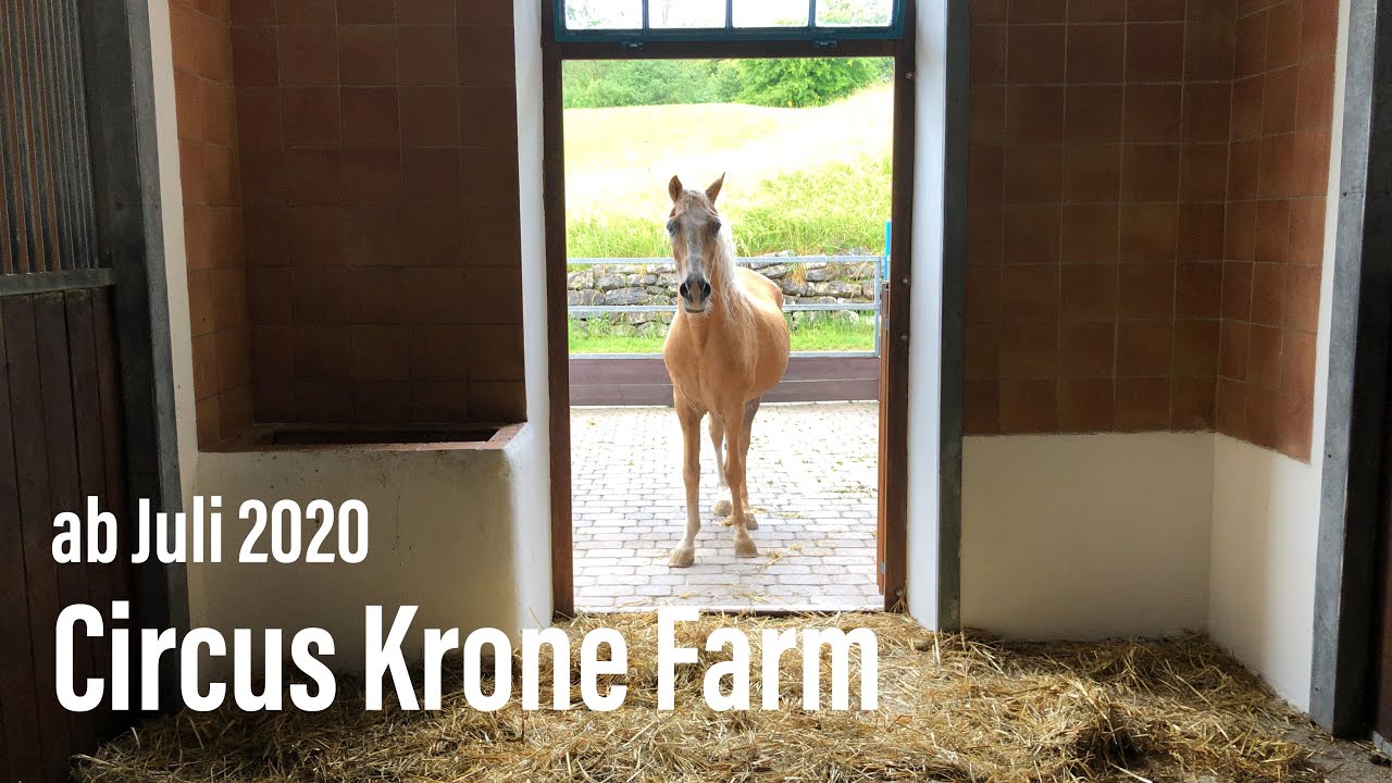 Circus Krone Farm in Weßling - seit Juli 2020 jeden Samstag und Sonntag
