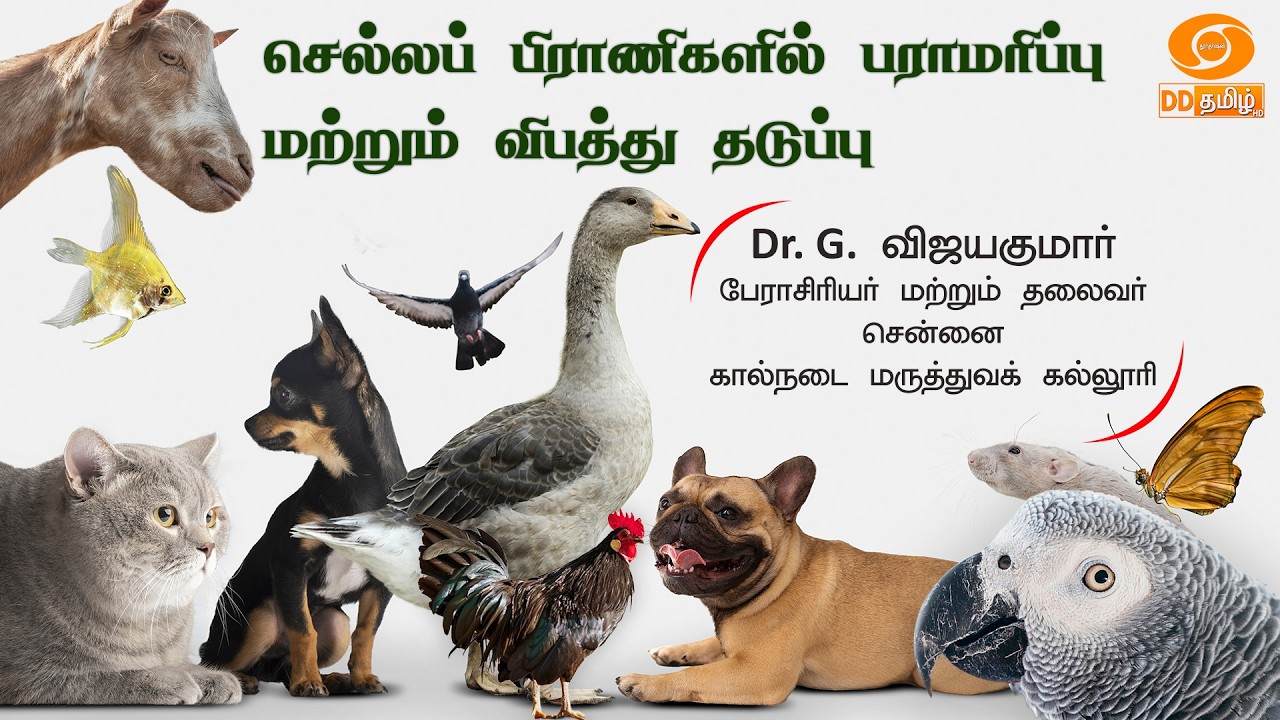 🔴Live | வேளாண் களம் | செல்லப் பிராணிகளில் பராமரிப்பு மற்றும் விபத்து தடுப்பு | 20th Feb 2026