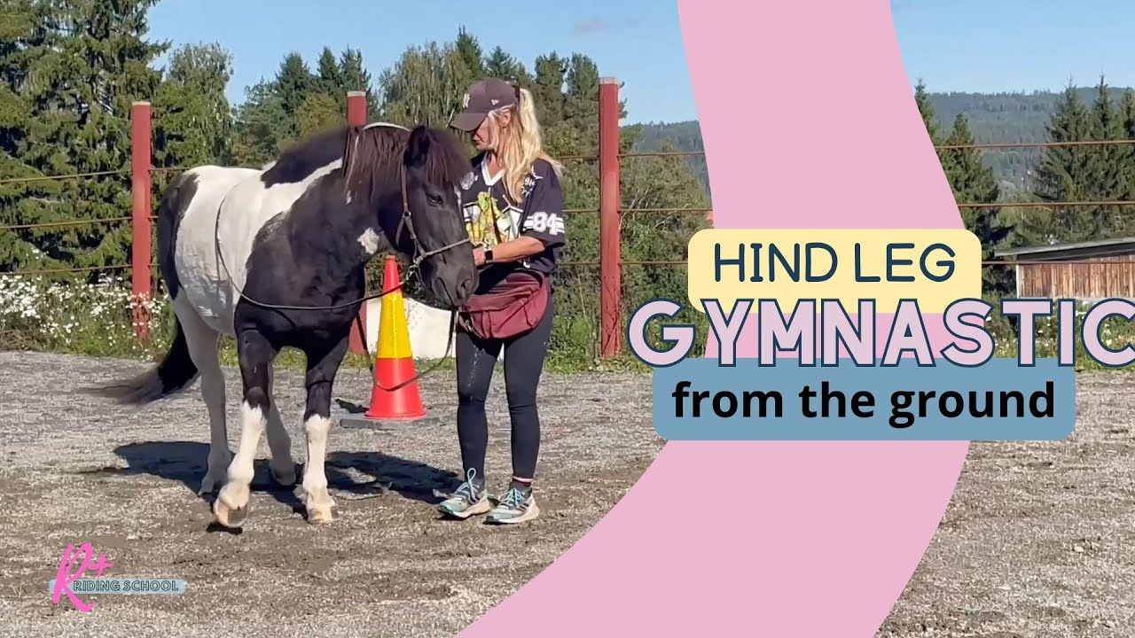 Giravolta and shifting hind legs