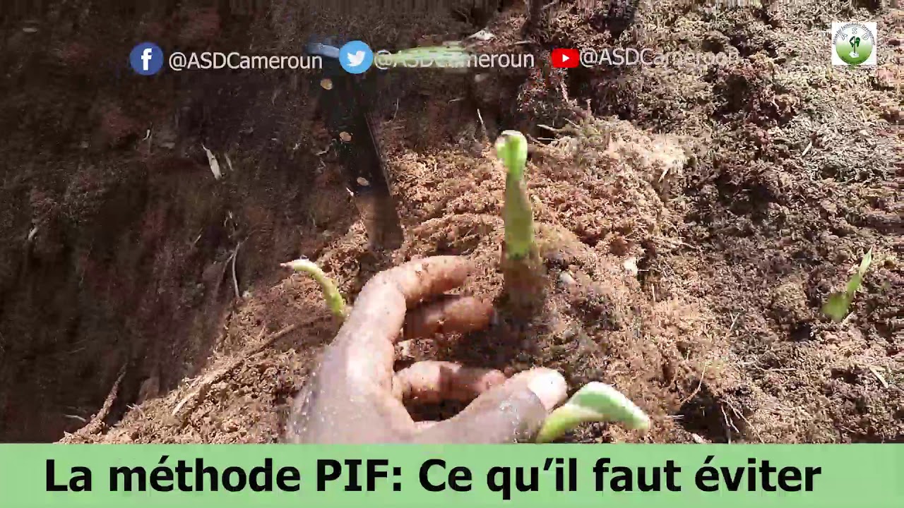 Méthode PIF: Ce qu'il faut éviter