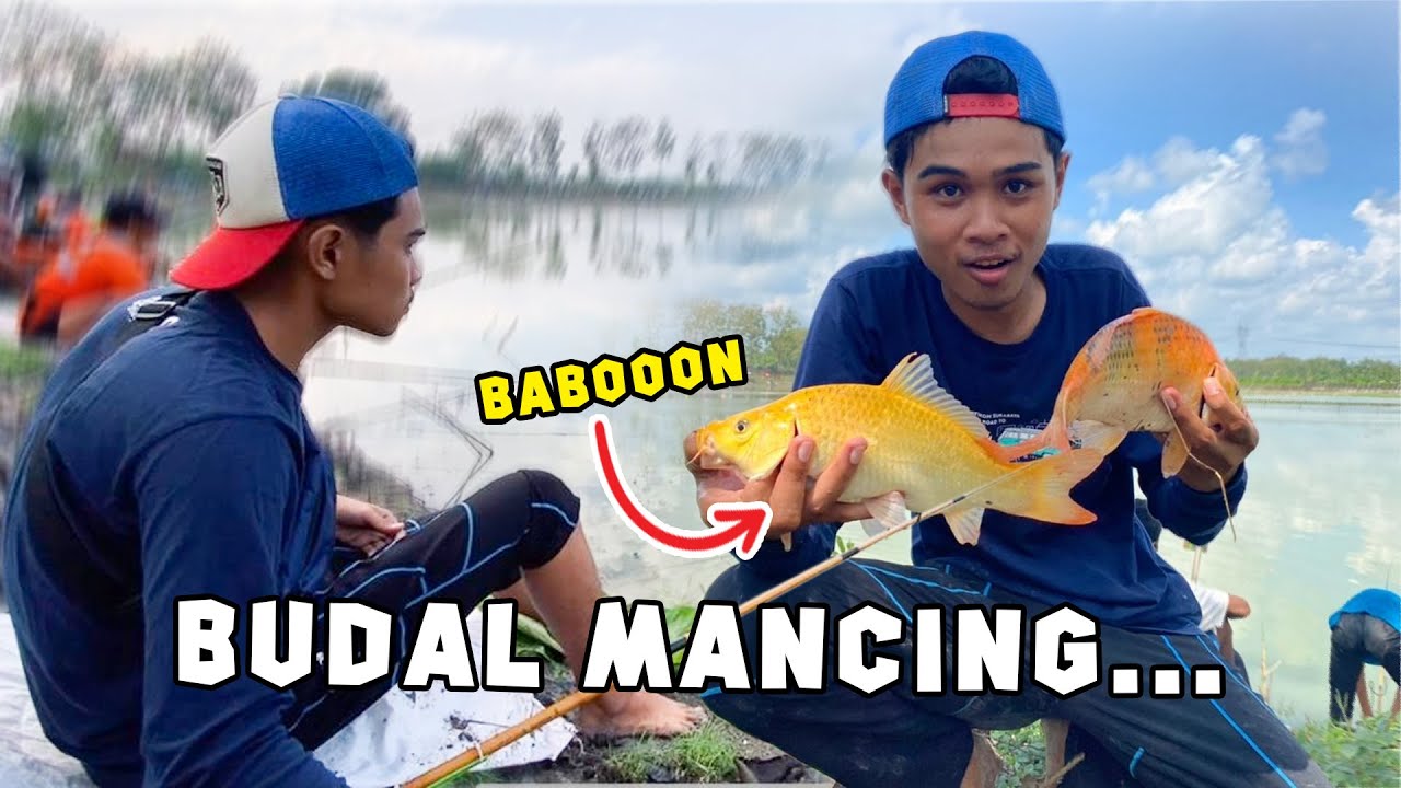 NGEVENT MANCING BERHADIAH JUTAAN RUPIAH !!! FULL BABON TOMBRO