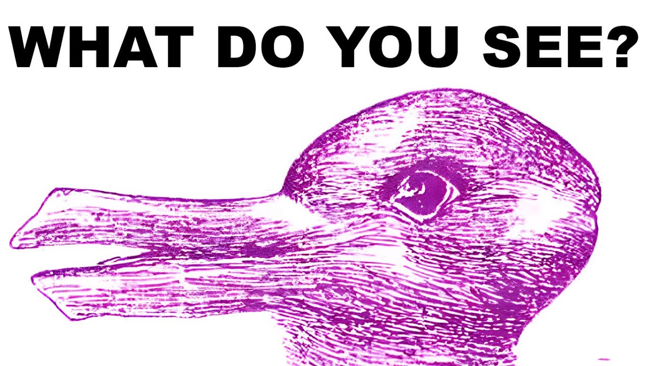Optical Illusion Memes