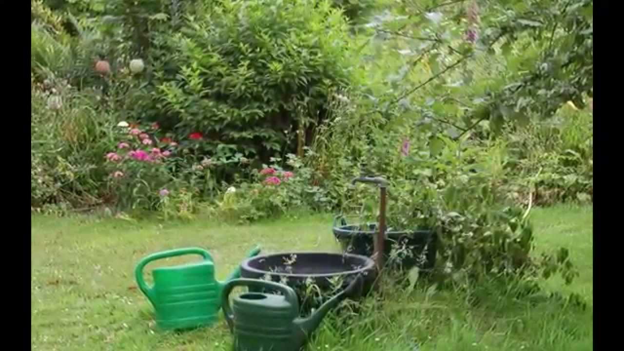Blick in den Garten