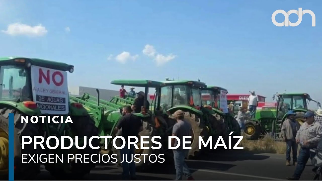 Productores de ma&iacute;z protestan: exigen $7,200 por tonelada para cubrir costos de producci&oacute;n