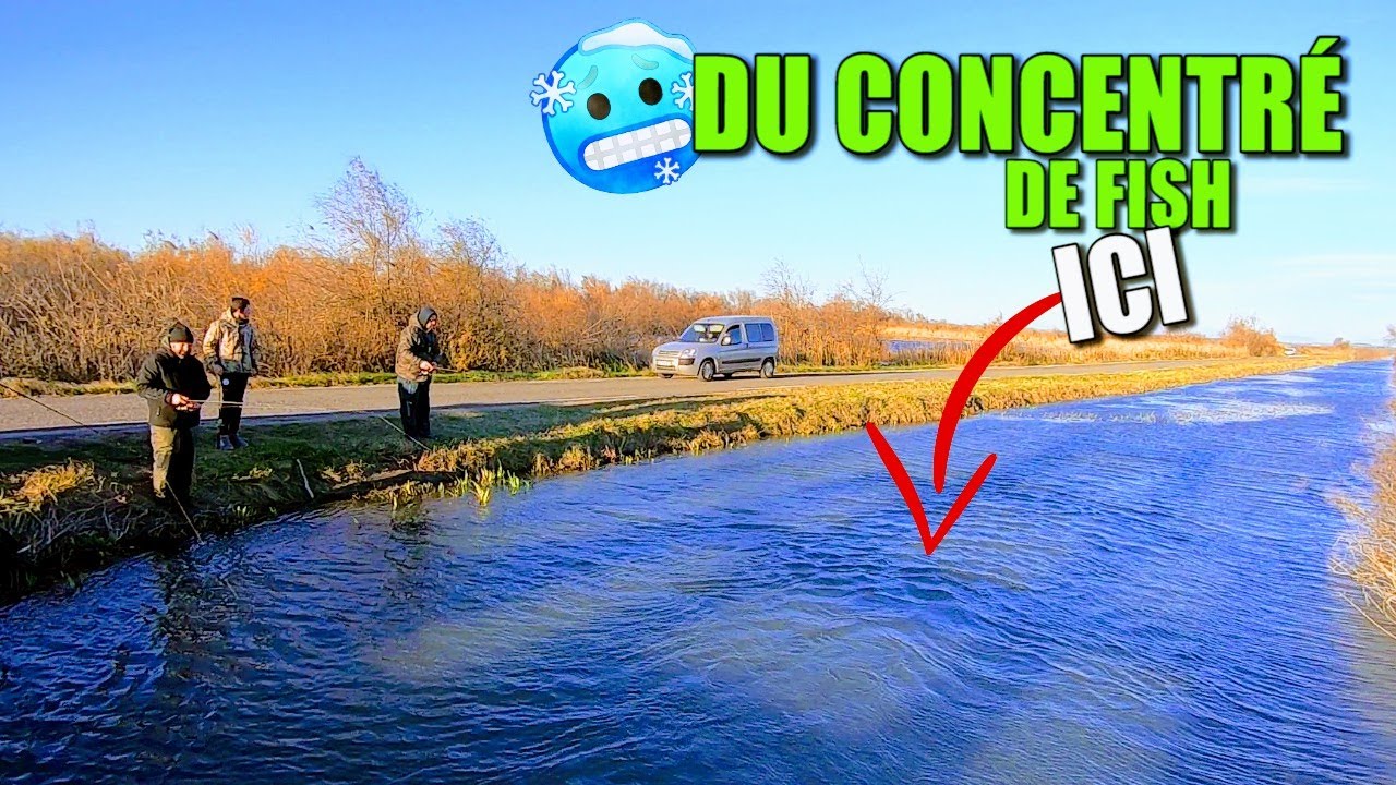 Une Session Au Pôle Nord ! 🥶🥶🥶
