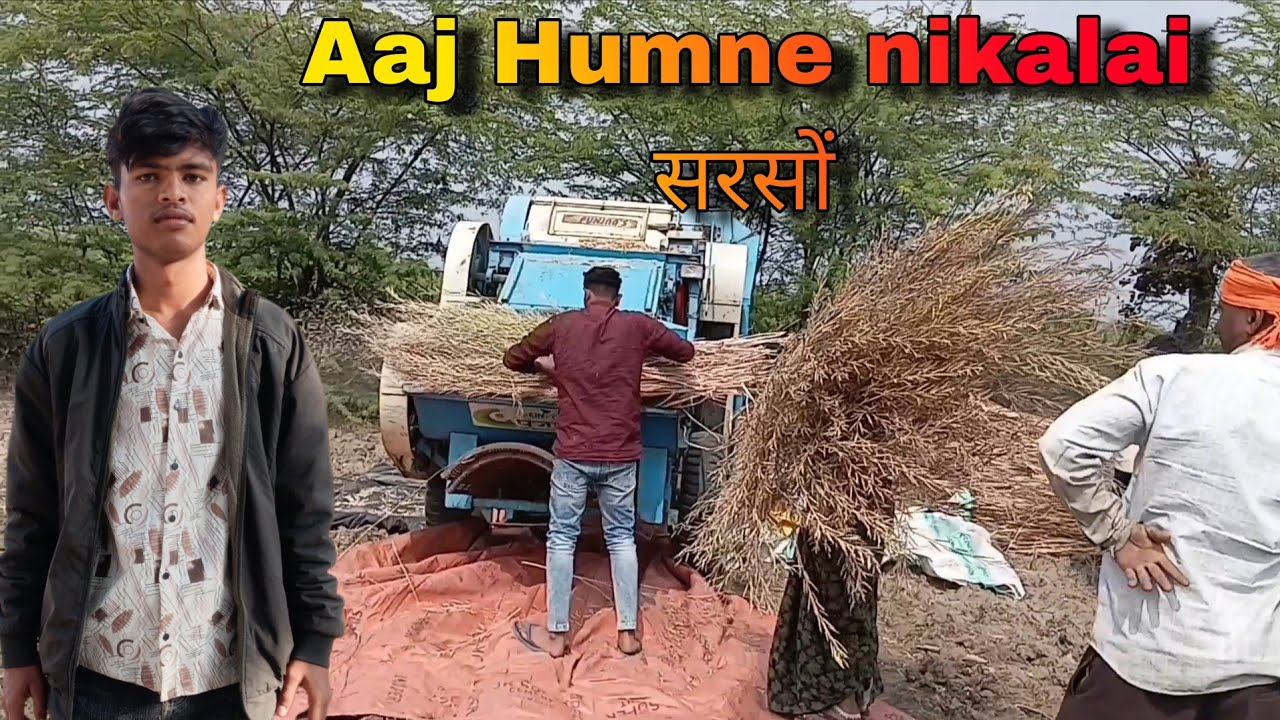 Aaj Humne nikalai sarson सरसों