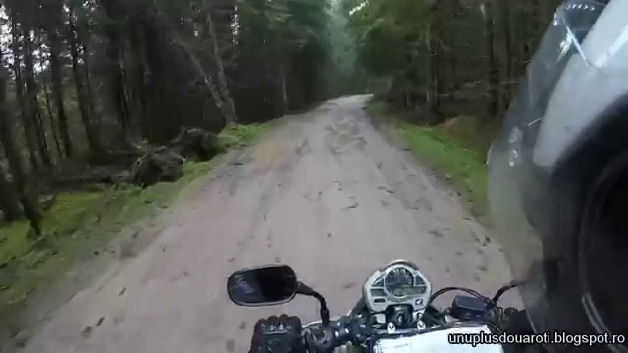 Trans Apuseni: Drum Rachitele - Padis - Pietroasa