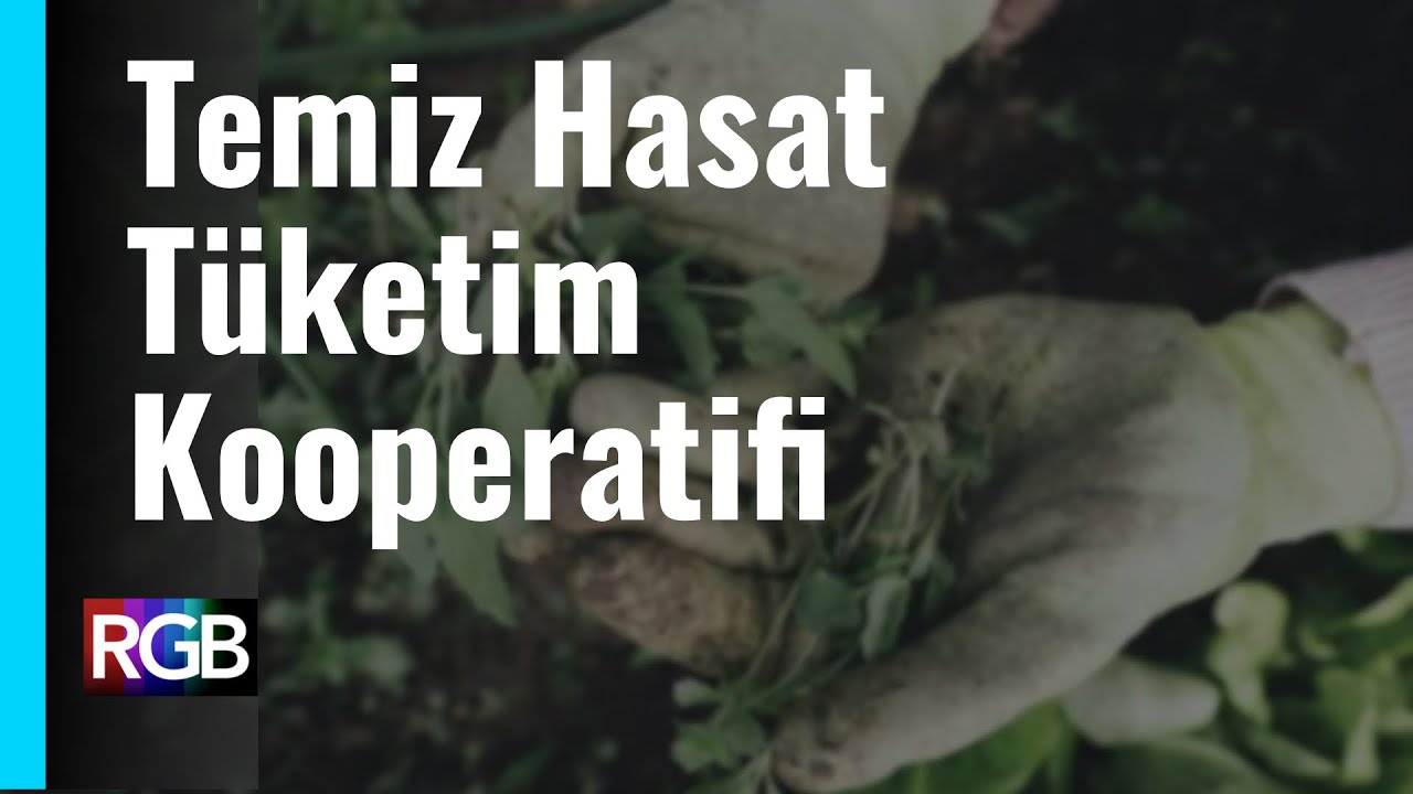 Temiz Hasat T&uuml;ketim Kooperatifi'nin Hikayesi / ifbilgi'den