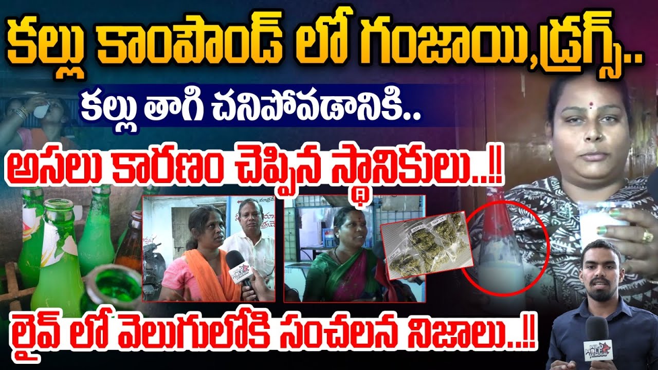 Shocking Facts About Kallu Compound Incident: Marijuana, Drugs in Kallu Compound..| Wild Wolf Telugu