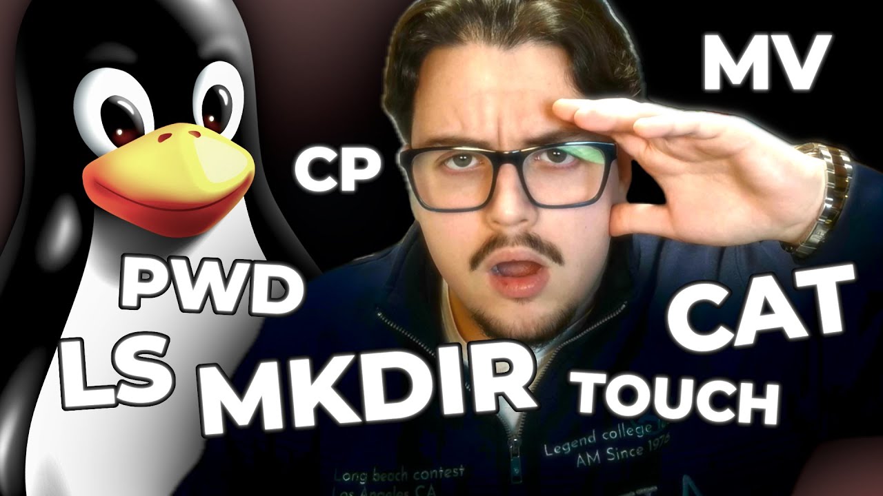 Tus Primeros Pasos en la Terminal con Linux: Los Comándos Básicos que Tienes que Aprender Sí o Sí