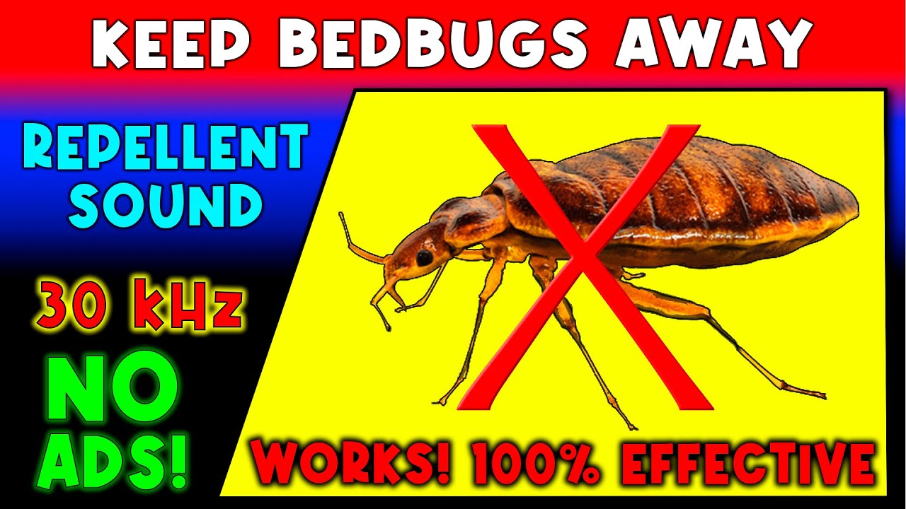 ANTI BEDBUGS REPELLENT SOUND ⛔🐞 KEEP BED BUGS AWAY - ULTRASONIC SOUND
