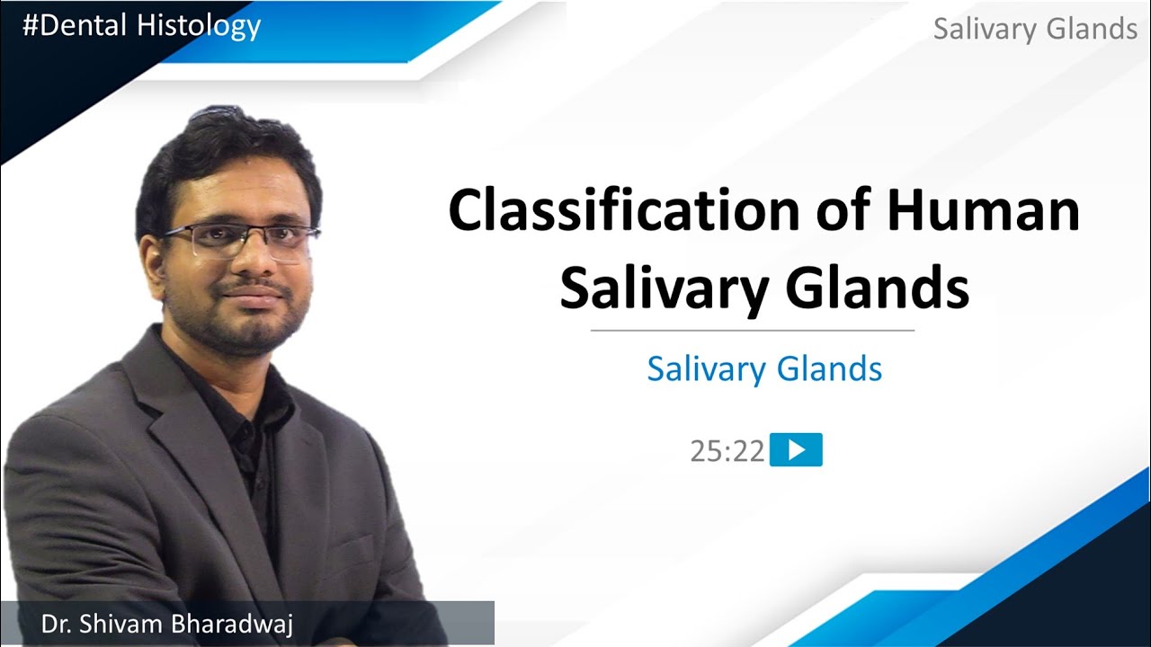 Dental Histology - Salivary Glands - Classification of Human Salivary Glands