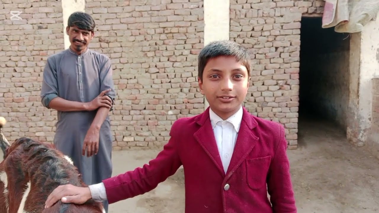 ایک بکری میں اللہ پاک نے کتنی برکت ڈال دی ایک ٹائم میں 4 بچے دیے ہیں
