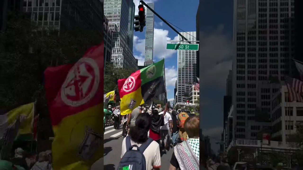 Protesters Spotted Holding Hamas Flags During NY Gaza Rally