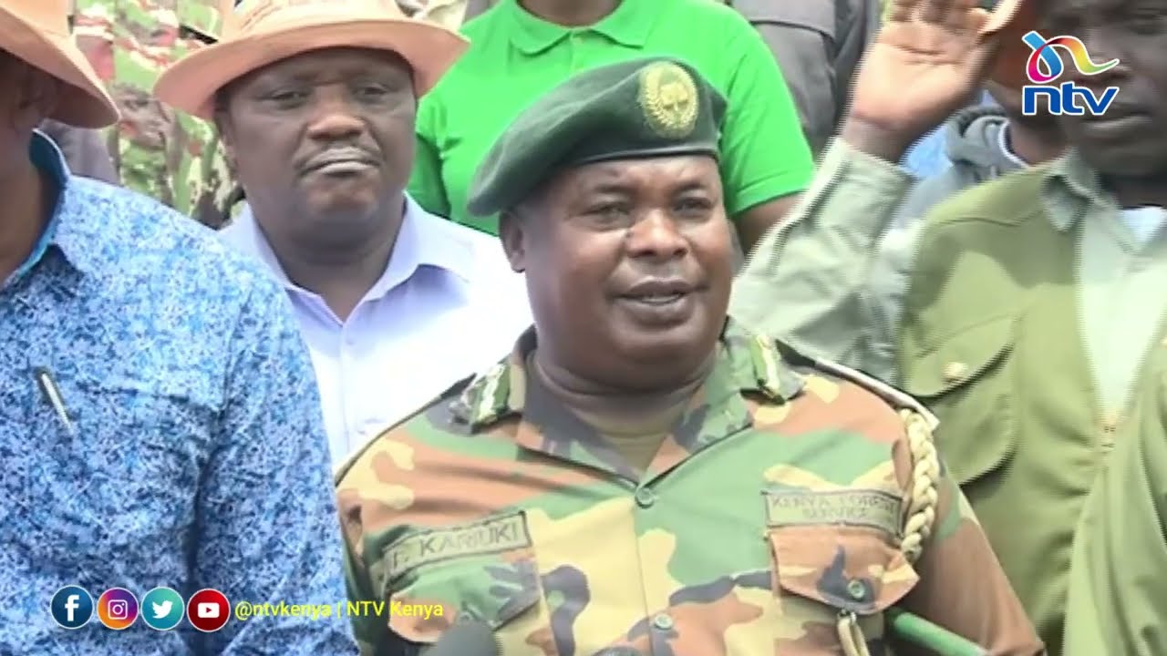 Road to 15 billion trees: KeNHA partners with Kenya Forest Service to plant over 24,000 saplings